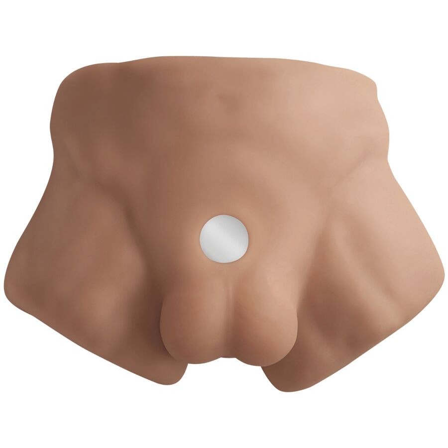 SILEXD - APOLLO S REALISTIC HALF MALE TORSO CARAMEL
